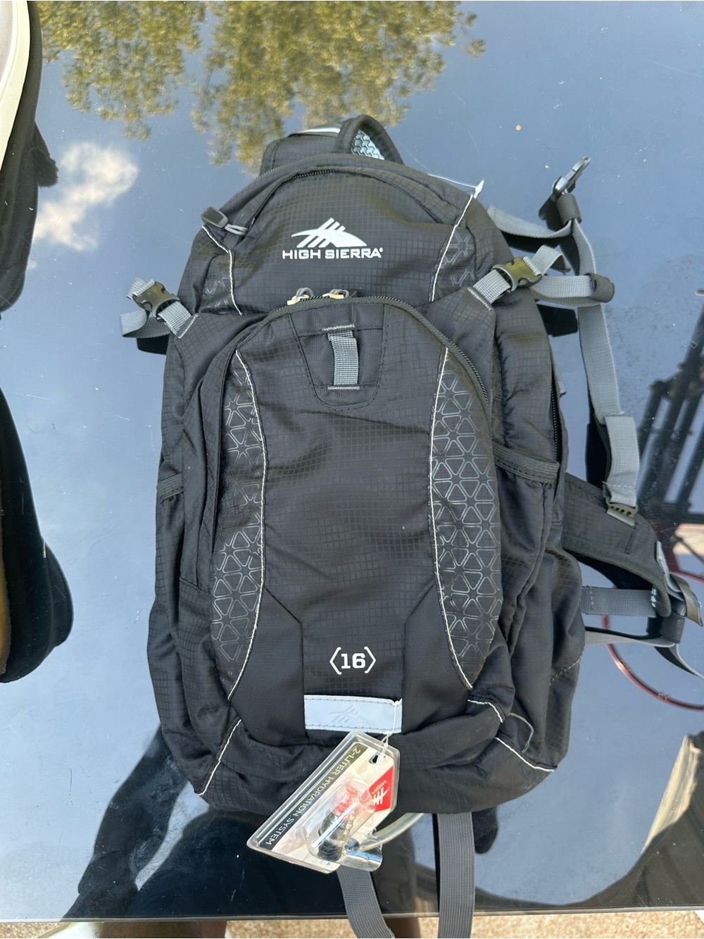 High Sierra Black Men's 16L Daypack Backpack